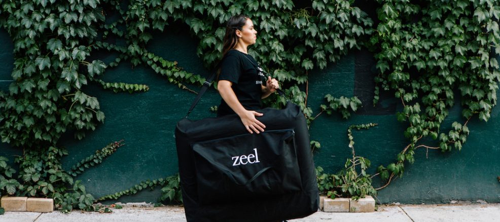 massage therapist bag