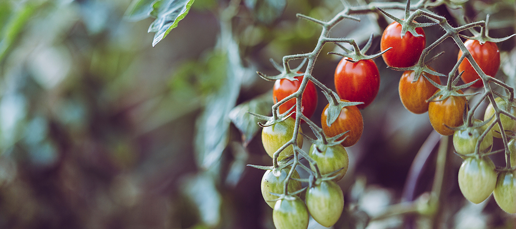 Employee Wellness programs in the spring