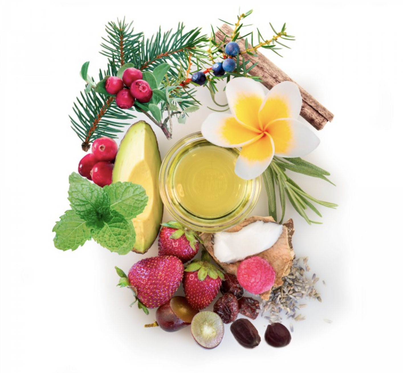 Zeel Holiday Wellness Gift Guide Red Flower Essential Omega Fresh Berry Oil Serum