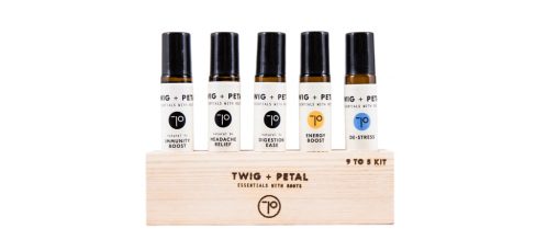 Corporate Wellness Gifts For Co-Workers And Employees Twig and Petal 9 to 5 Kit