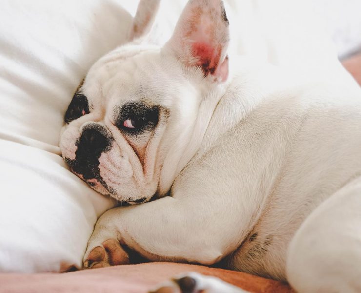 Better Health through Better Sleep