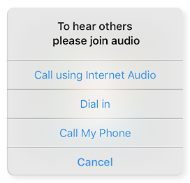 Zoom Mobile Audio Options Zoom Mobile Audio Options