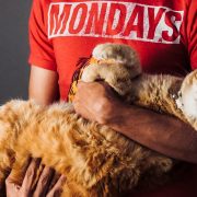 Mental and Physical Health Benefits of Pets