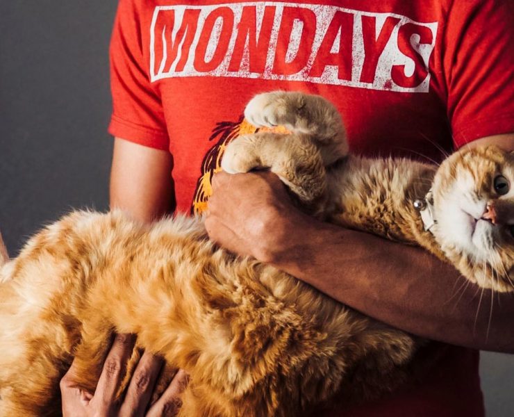 Mental and Physical Health Benefits of Pets