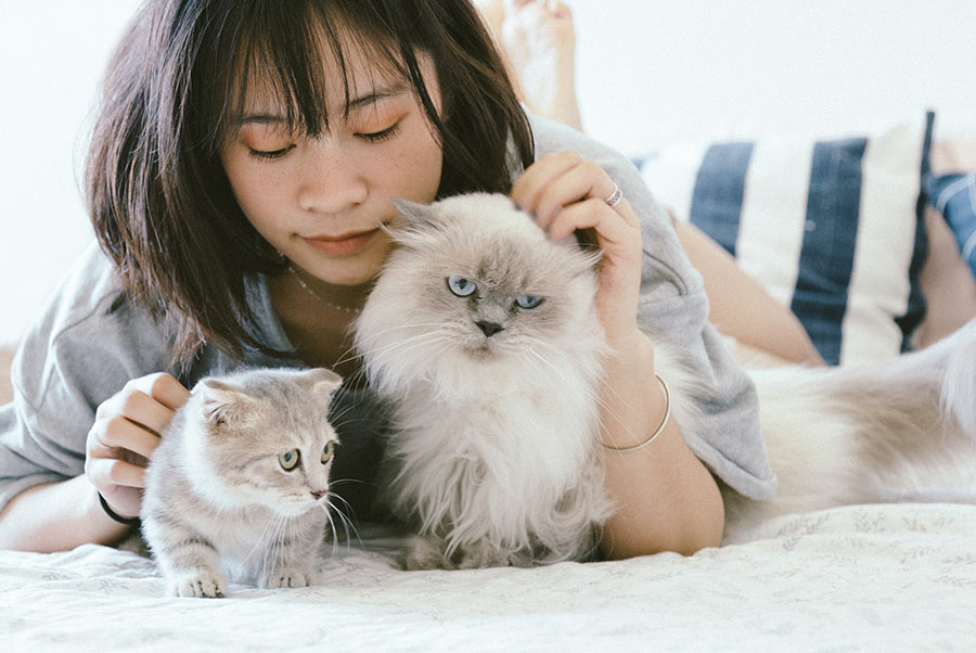 Mental and Physical Health Benefits of Pets