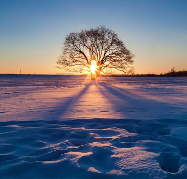 Holiday stress management techniques