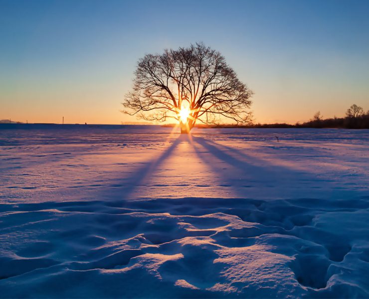Holiday stress management techniques