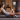 Foam rolling for runners featuring Hyperice
